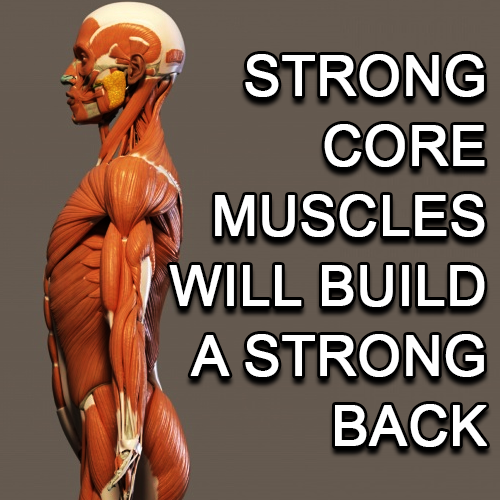 Strong Core Muscles Will Build A Strong Back