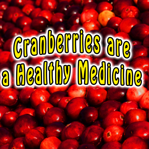 Cranberries are a Healthy Medicine