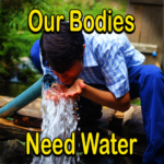 Our Bodies Need Water