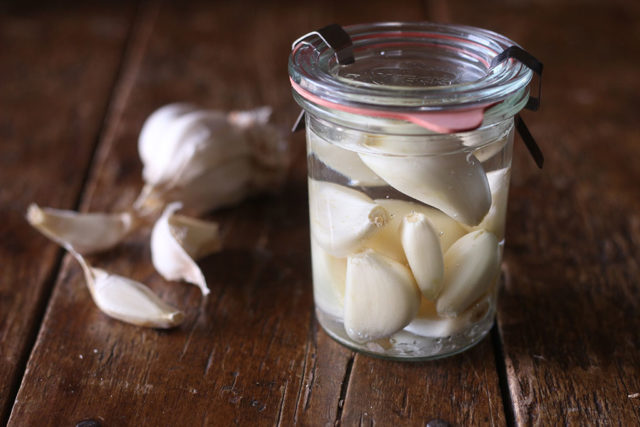fermenting garlic increases probiotic activity