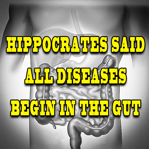 HIPPOCRATES SAID ALL DISEASES BEGIN IN THE GUT
