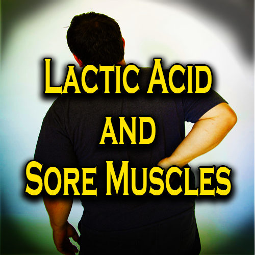 Lactic Acid and Sore Muscles