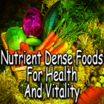 Nutrient Dense Foods For Health And Vitality