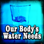 Our Body's Water Needs