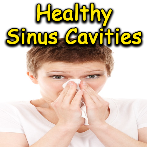 Healthy Sinus Cavities